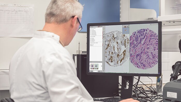 Download image (.jpg) Managing Pathology Data in an AI World